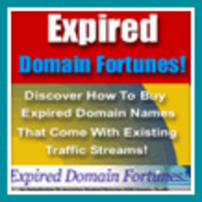 Product picture Expired Domain Fortunes